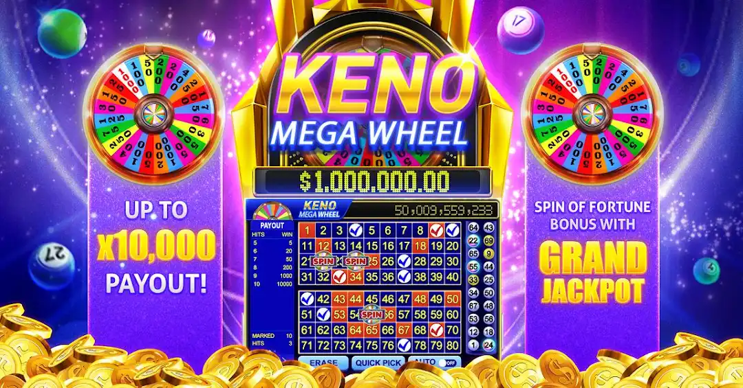 456 bet 655 bet cassino entretenimento